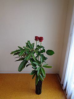 いけばな作品・ビワ、バラ