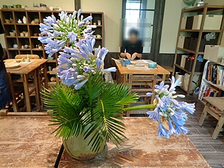 いけばな作品・アガパンサス、ソテツ