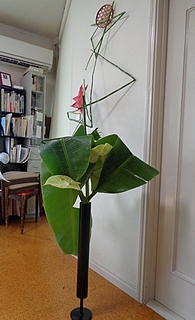 いけばな作品・糸芭蕉、トクサ、ヘリコニア、アンスリウム(グリーン)