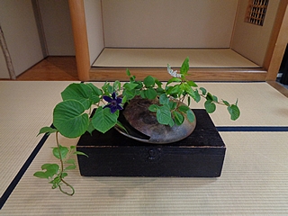 なげいれ作品・土佐水木、鉄仙、岡虎の尾、蔓梅擬