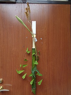 いけばな作品・タカサゴユリ、タカサゴユリの実莢の殻、シダ、芋の蔓