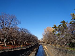 尾崎橋から見た善福寺川