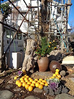 夫の庭飾り・松、千両、夏みかん、シークワーサー、葉牡丹