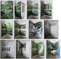 庭１７１－北国・福島、宮城、山形の庭
